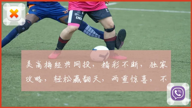 美高梅经典网投，精彩不断，独家攻略，轻松赢翻天，两重惊喜，不容错过