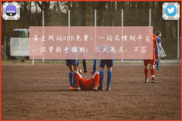 黄金网站app免费，一站式理财平台，投资新手福利，三大亮点，不容错过